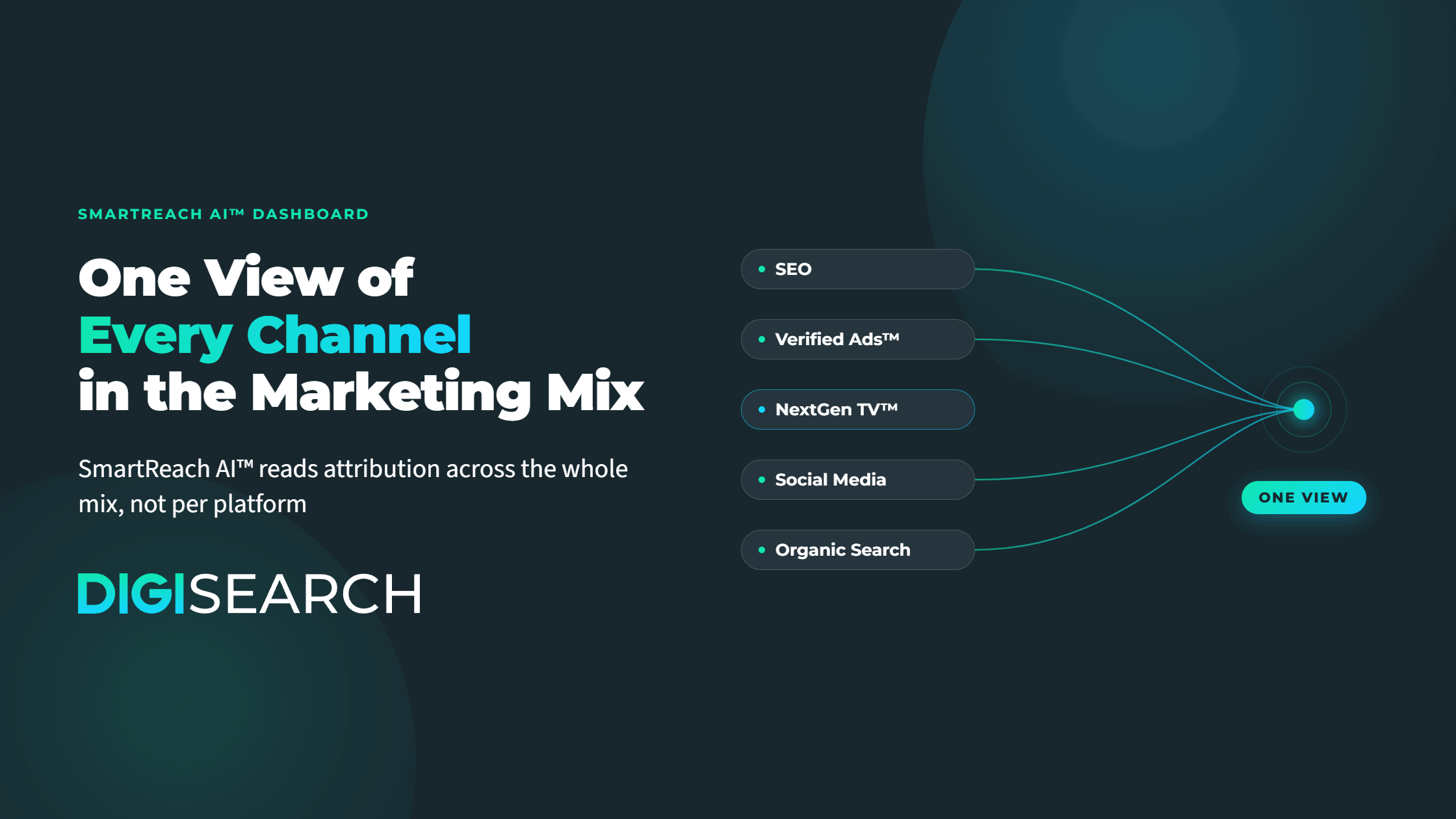 Hero graphic: bold headline 'One View of Every Channel in the Marketing Mix' with channel labels (SEO, Verified Ads, NextGen TV, Social Media, Organic Search) connected to a central node; DigiSearch branding visible.